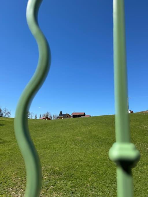Chic & Champetre Au Coeur Du Haut-Jura ラムラ エクステリア 写真