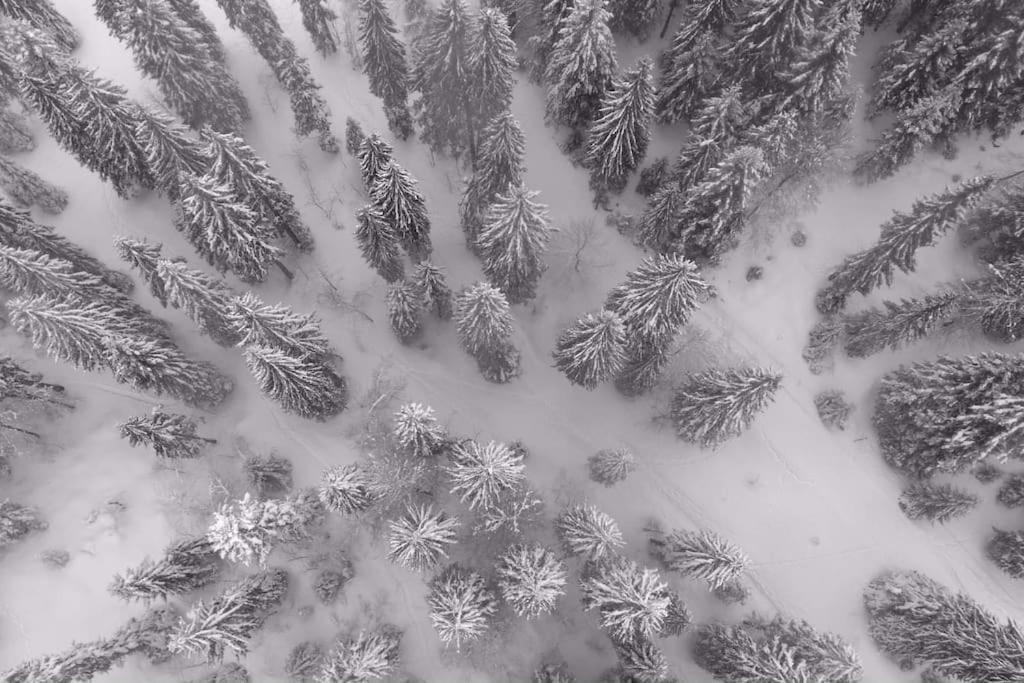 Chic & Champetre Au Coeur Du Haut-Jura ラムラ エクステリア 写真